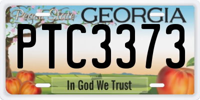 GA license plate PTC3373