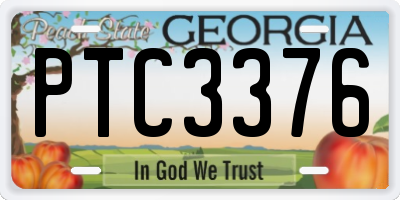 GA license plate PTC3376