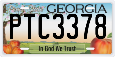 GA license plate PTC3378