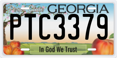 GA license plate PTC3379