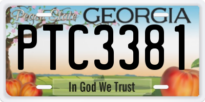 GA license plate PTC3381