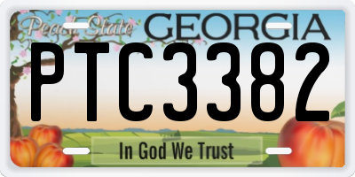 GA license plate PTC3382