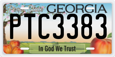 GA license plate PTC3383