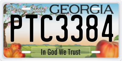 GA license plate PTC3384