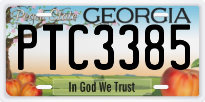 GA license plate PTC3385