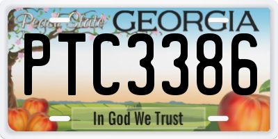 GA license plate PTC3386