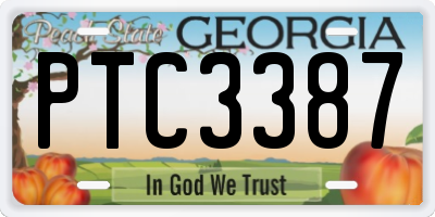 GA license plate PTC3387