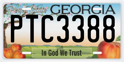 GA license plate PTC3388