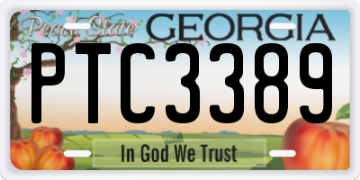 GA license plate PTC3389