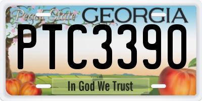 GA license plate PTC3390