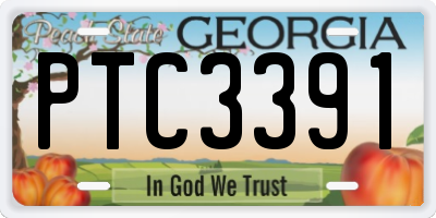 GA license plate PTC3391