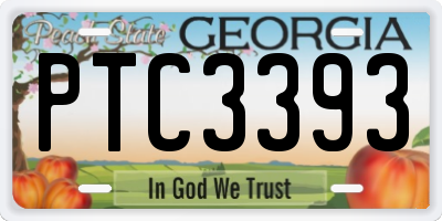 GA license plate PTC3393
