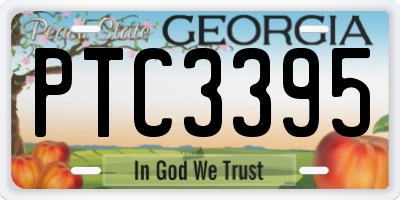 GA license plate PTC3395