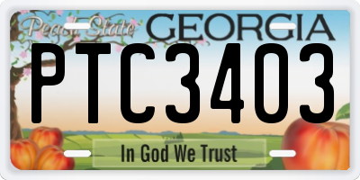 GA license plate PTC3403