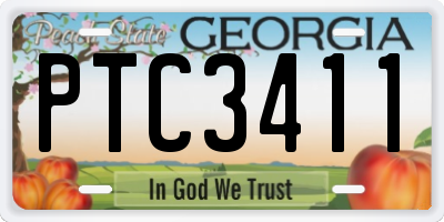 GA license plate PTC3411