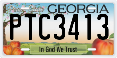 GA license plate PTC3413