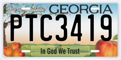 GA license plate PTC3419