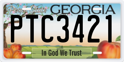 GA license plate PTC3421