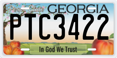 GA license plate PTC3422
