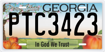 GA license plate PTC3423