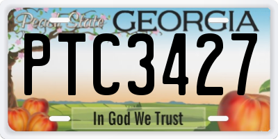 GA license plate PTC3427