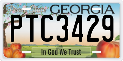 GA license plate PTC3429