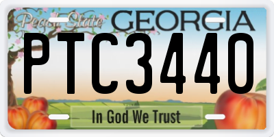 GA license plate PTC3440