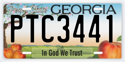 GA license plate PTC3441