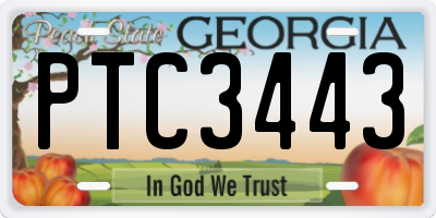 GA license plate PTC3443