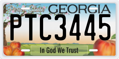 GA license plate PTC3445