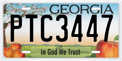 GA license plate PTC3447