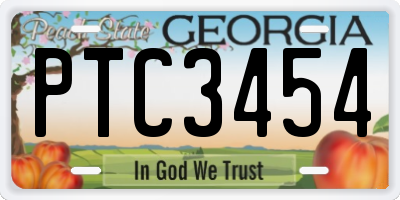 GA license plate PTC3454