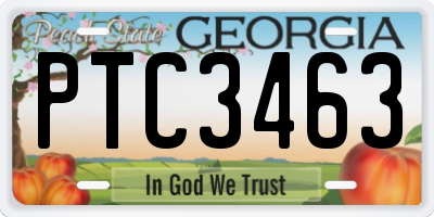 GA license plate PTC3463