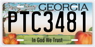 GA license plate PTC3481