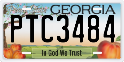 GA license plate PTC3484