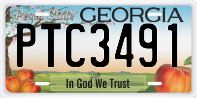 GA license plate PTC3491