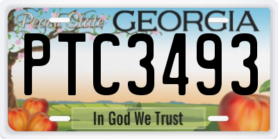 GA license plate PTC3493