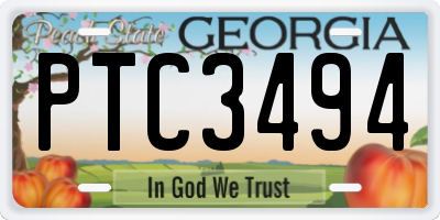 GA license plate PTC3494