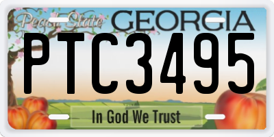 GA license plate PTC3495