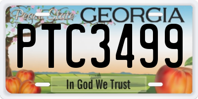 GA license plate PTC3499