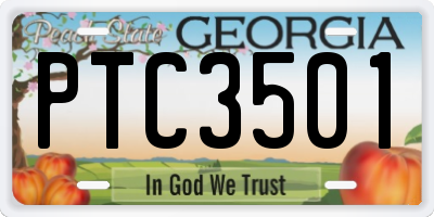 GA license plate PTC3501