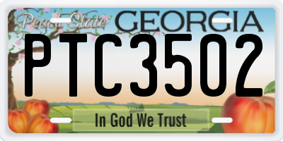 GA license plate PTC3502