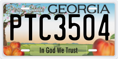 GA license plate PTC3504
