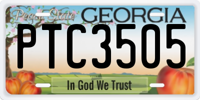 GA license plate PTC3505