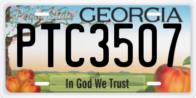 GA license plate PTC3507