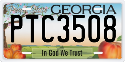 GA license plate PTC3508