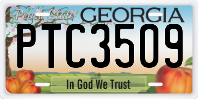 GA license plate PTC3509