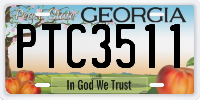 GA license plate PTC3511