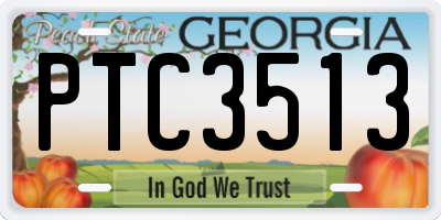 GA license plate PTC3513