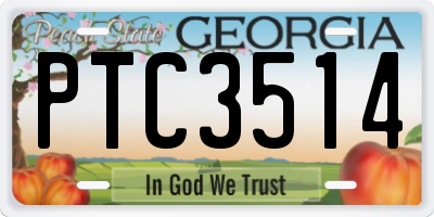 GA license plate PTC3514